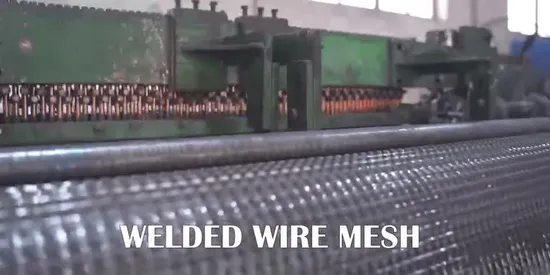 PVC Hexagonal Wire Mesh/Chicken Wire/Fence/Rabbit/Poultry Netting 