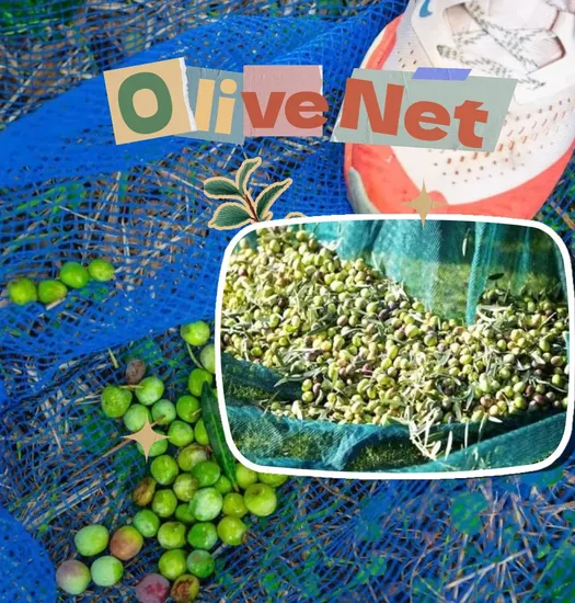 60GSM 3*50m Agricultural Olive Collection Olive Harvest Netting 