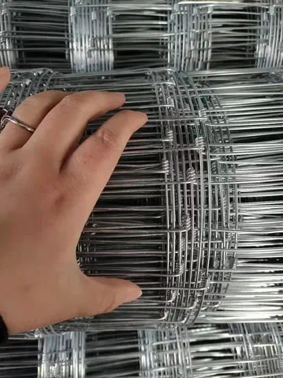 Grassland Farm Guard Agricultural Field Goat Cattle Sheep Galvanized Wire Mesh Fence Netting 