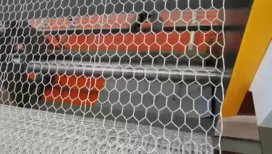 High Quality Hexagonal Wire Netting Finishing Net Chicken Poultry Netting with Factory Price 