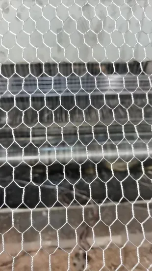 Galvanized, PVC Coated & Stainless Steel Poultry Netting 