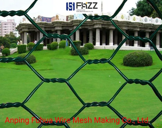 ISO 9001 Chicken Poultry Mesh Hexagonalfence Wire Netting 
