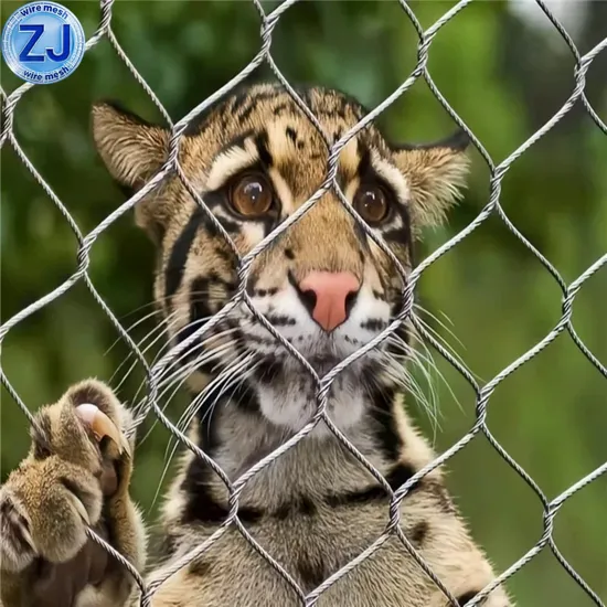 Wire Cable Poultry Garden Football Safety Fence Mesh Stainless Steel Rope Netting 