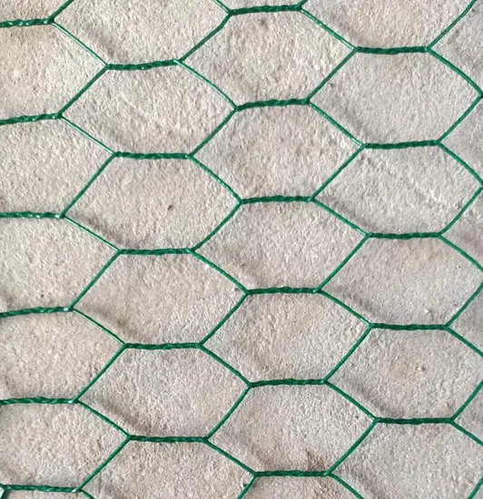 Bwg21X3/4" Galvanized Hexagonal Chicken Wire Mesh Fence Roll for Poultry Netting 